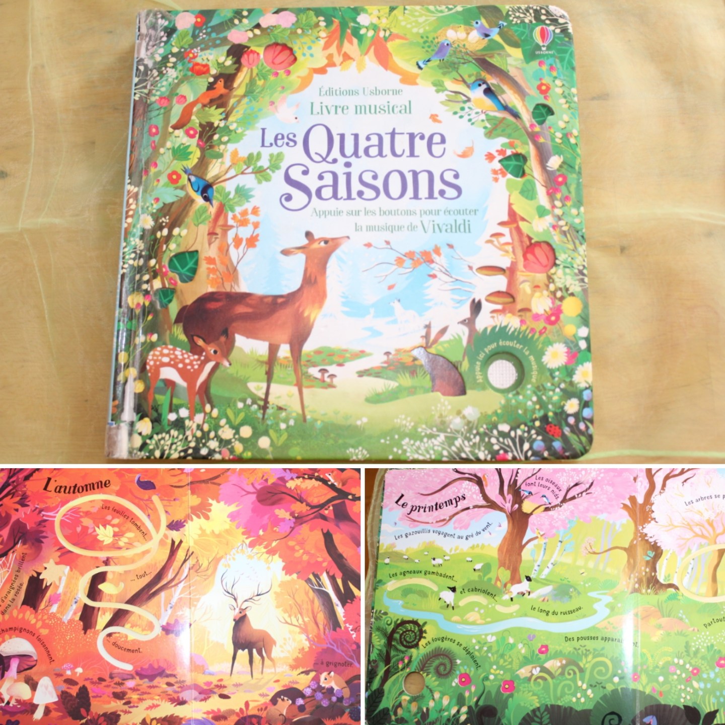 Les saisons – liste de lecture – Maman des fauves