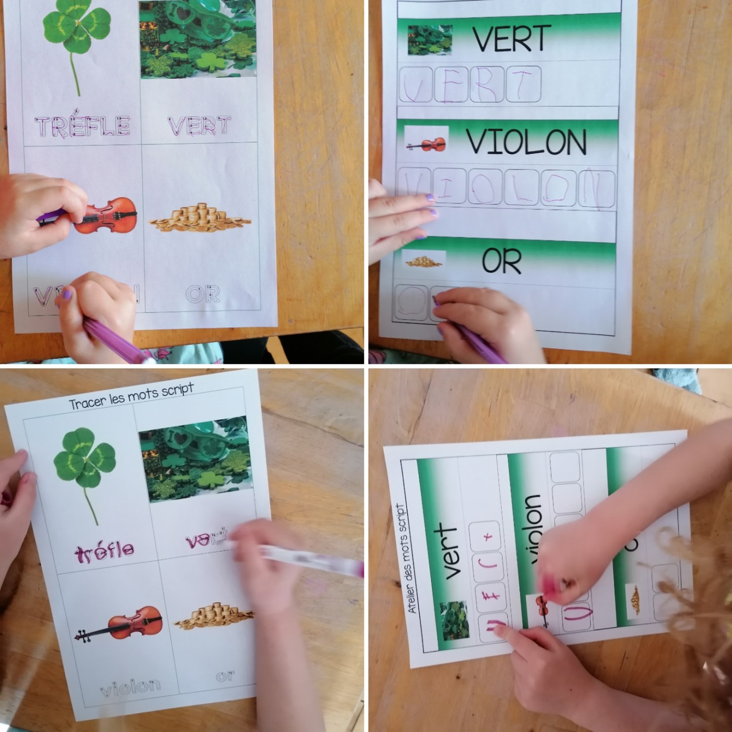 Récapitulatif activités St Patrick – Maman des fauves