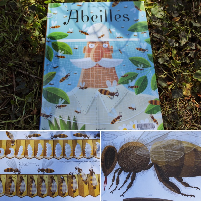 Cette image a un attribut alt vide ; le nom du fichier est img_20210406_17070728129.jpg