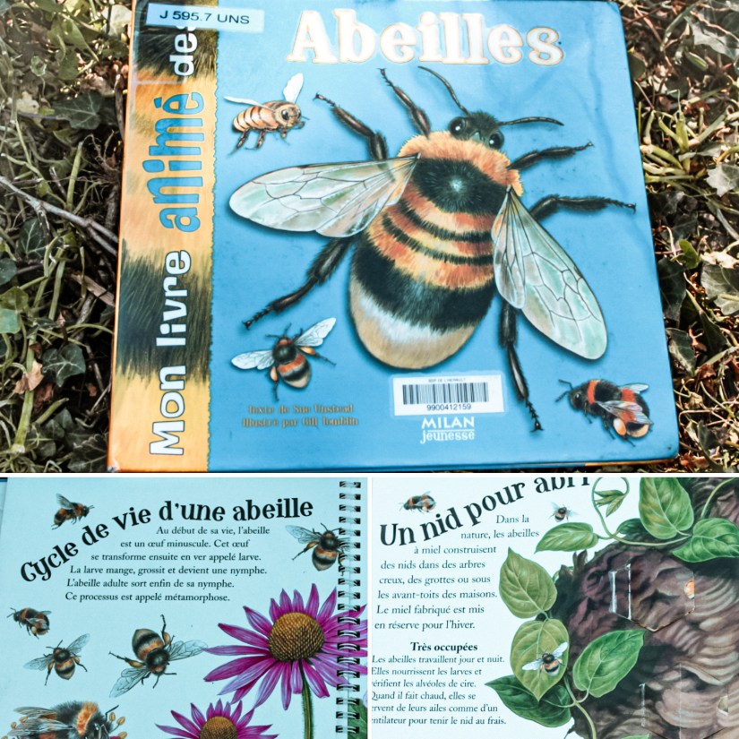 Cette image a un attribut alt vide ; le nom du fichier est img_20210406_17081828129.jpg