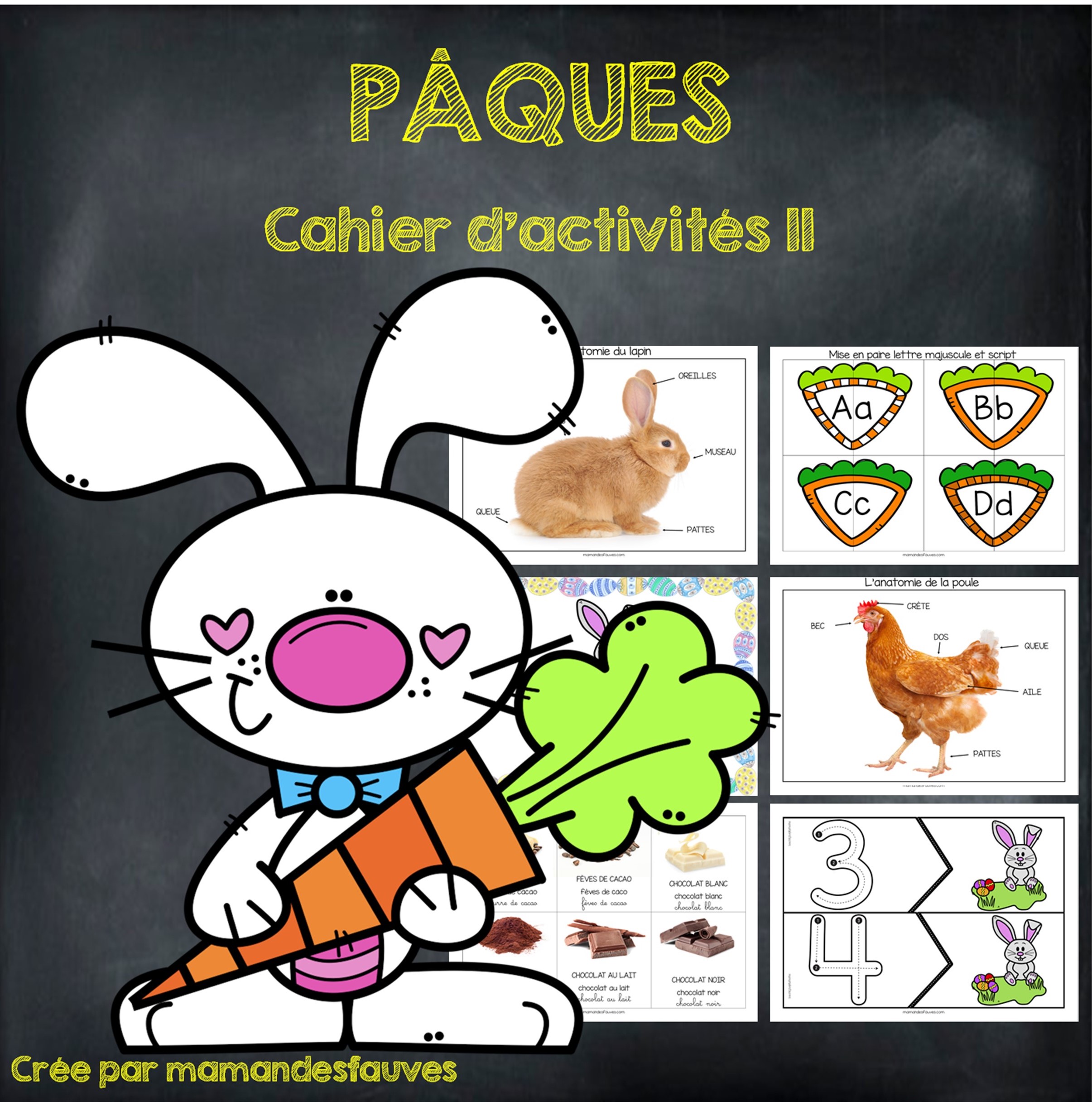 Maman des fauves – Apprendre en s'amusant – nos activités famille ...