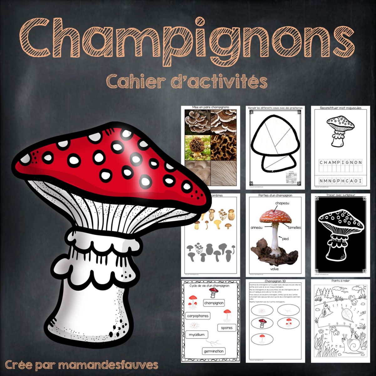 Champignons – fiches à imprimer – Maman des fauves