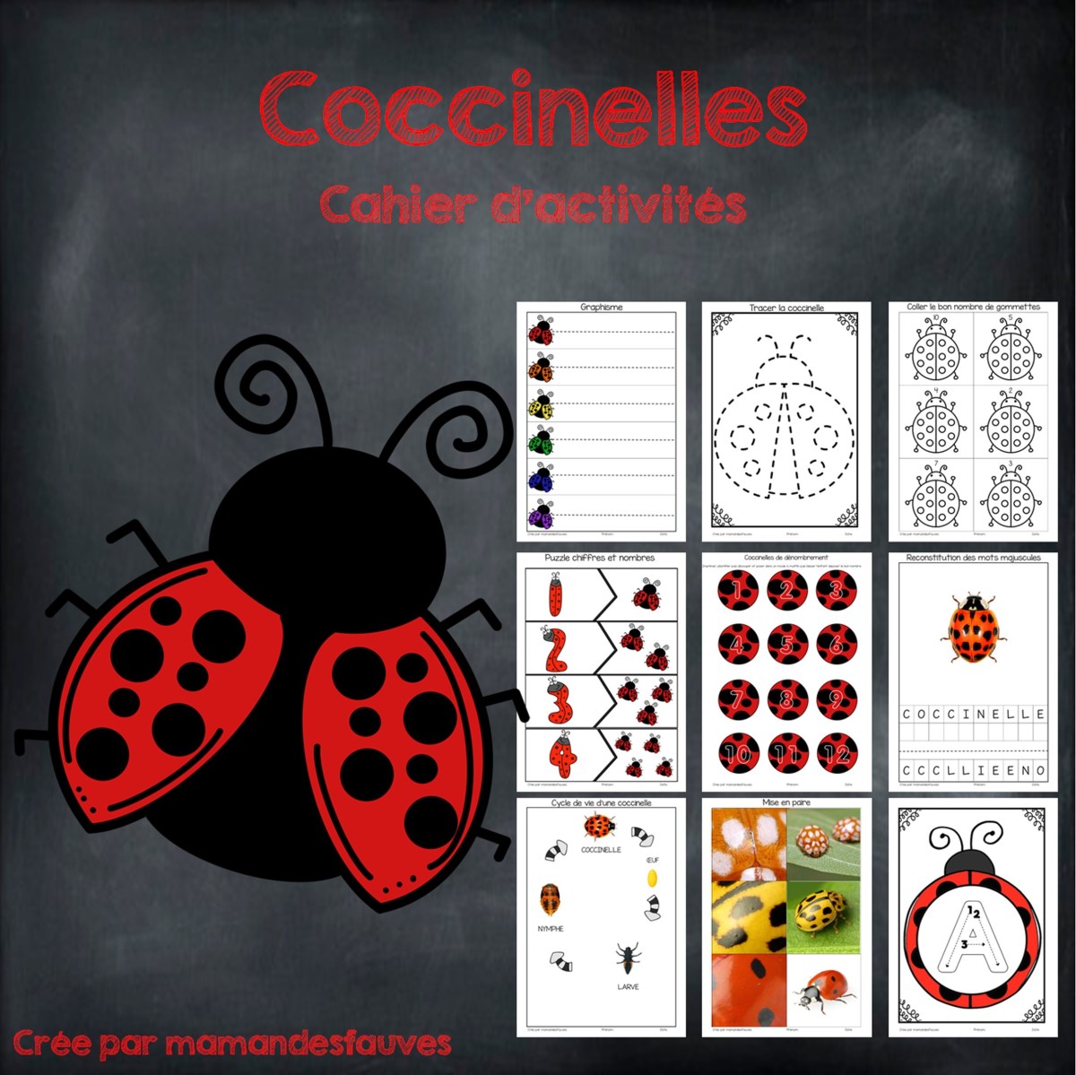 Coccinelles – fiches à imprimer – Maman des fauves