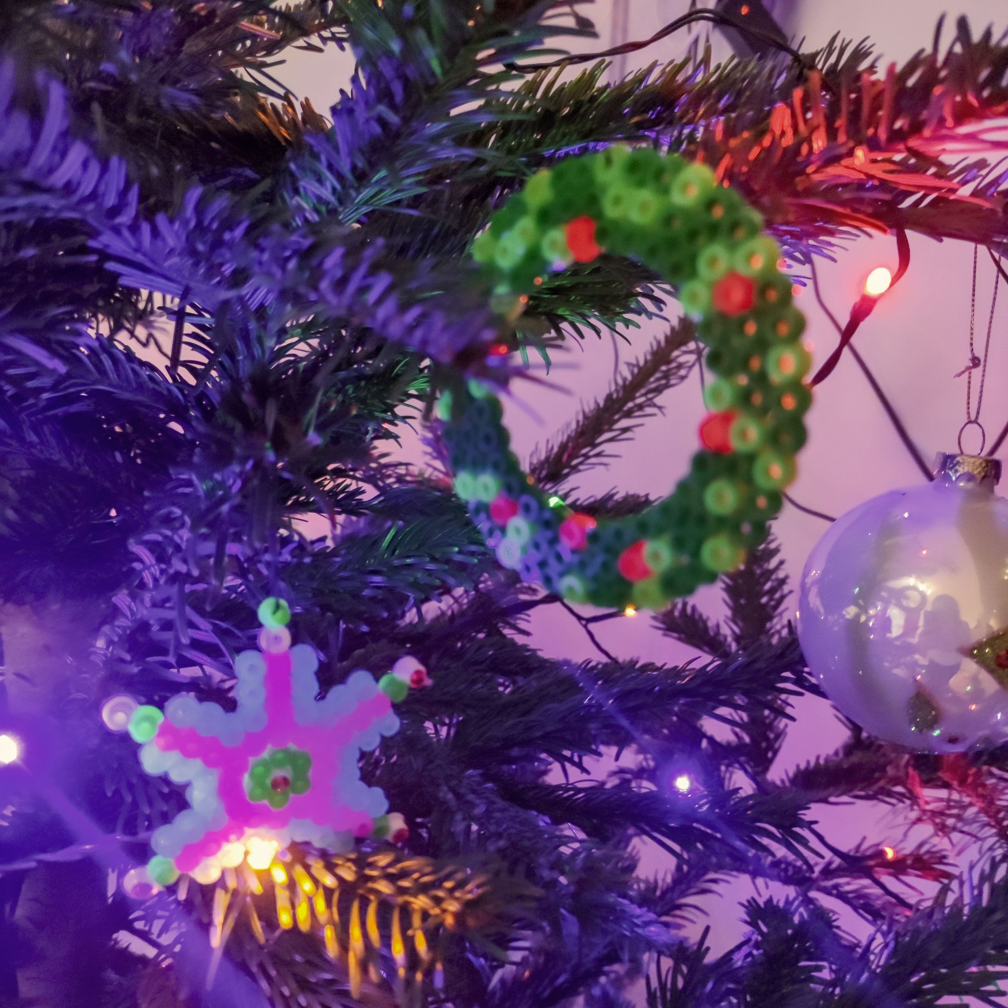 Nos activités autour de Noël 2023 – Maman des fauves