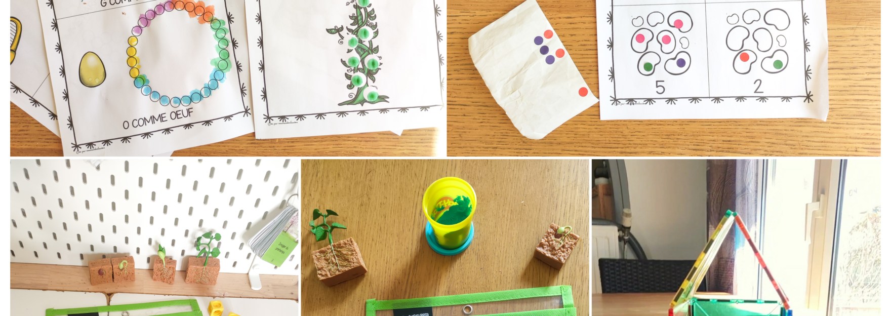 Des activités magiques autour de Jack et le Haricot Magique en